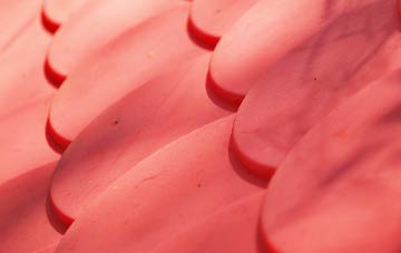 Garth Row plastic roof costs